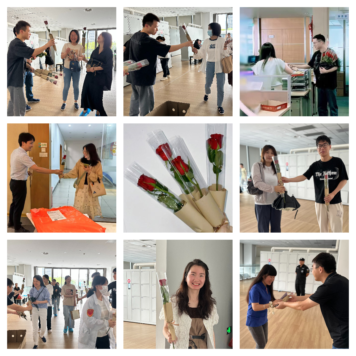 以玫瑰之名，致敬每一個發(fā)光的你(圖2)